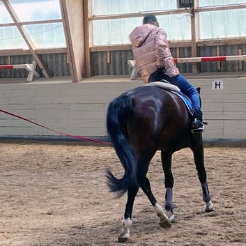 2106 Stiftung Wunderlampe_Reiterzentrum Rotsee_2