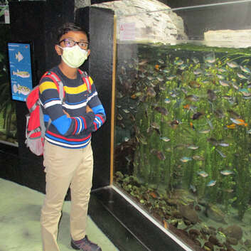 2108 Stiftung Wunderlampe_Aquarium Lausanne_1