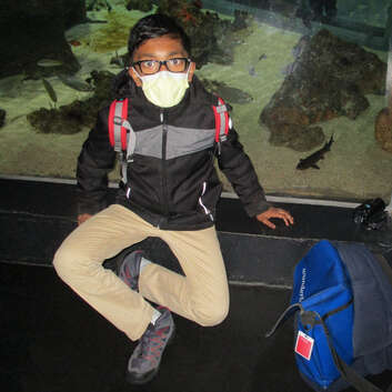 2108 Stiftung Wunderlampe_Aquarium Lausanne_3