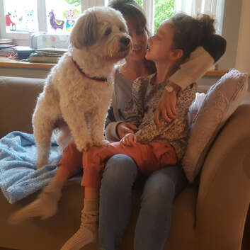 2221 Stiftung Wunderlampe_Hundethearpie_1