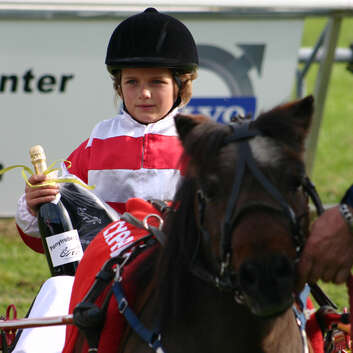 249 Stiftung Wunderlampe_tierbegegnung_Pferd_2