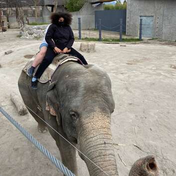 2559 Stiftung Wunderlampe_Knies Kinderzoo Rapperswil_4