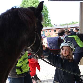 2577 Stiftung Wunderlampe_Ponyreiten_3