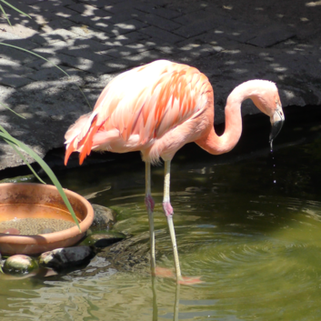 2902 Stiftung Wunderlampe_CONNY-LAND_3