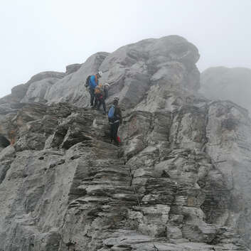 2903 Stiftung Wunderlampe_Rotstock-Gipfel _2