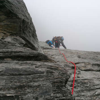 2903 Stiftung Wunderlampe_Rotstock-Gipfel _1