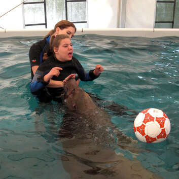 302 Stiftung Wunderlampe_Seelowen_1