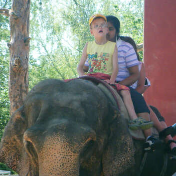 308 Stiftung Wunderlampe_Granatenbaumgut_Knie's Kinderzoo_2