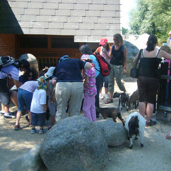 308 Stiftung Wunderlampe_Granatenbaumgut_Knie's Kinderzoo_3