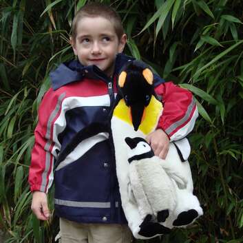 673 Stiftung Wunderlampe_Pinguine_Zoo Zürich_1