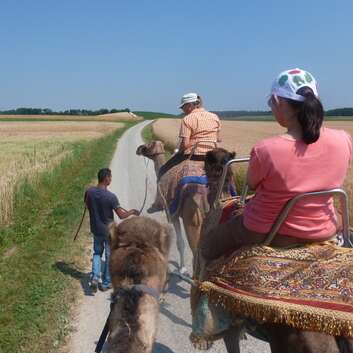 721 Stiftung Wunderlampe_Kamel_2