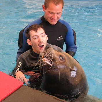 750/886 Stiftung Wunderlampe_Seelöwen_1