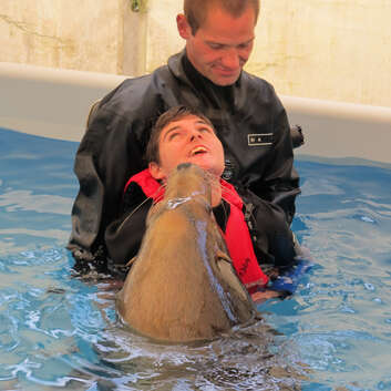 750/886 Stiftung Wunderlampe_Seelöwen_3