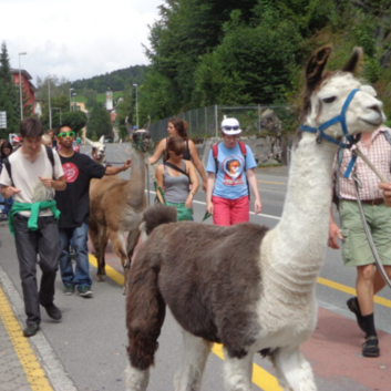 818 Stiftung Wunderlampe_Insieme Luzern_Lamatrekking