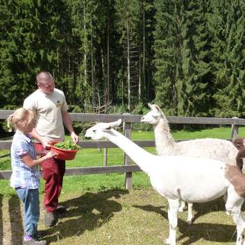 851 Stiftung Wunderlampe_Zoo Gossau_2