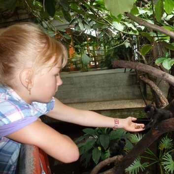 851 Stiftung Wunderlampe_Zoo Gossau_3